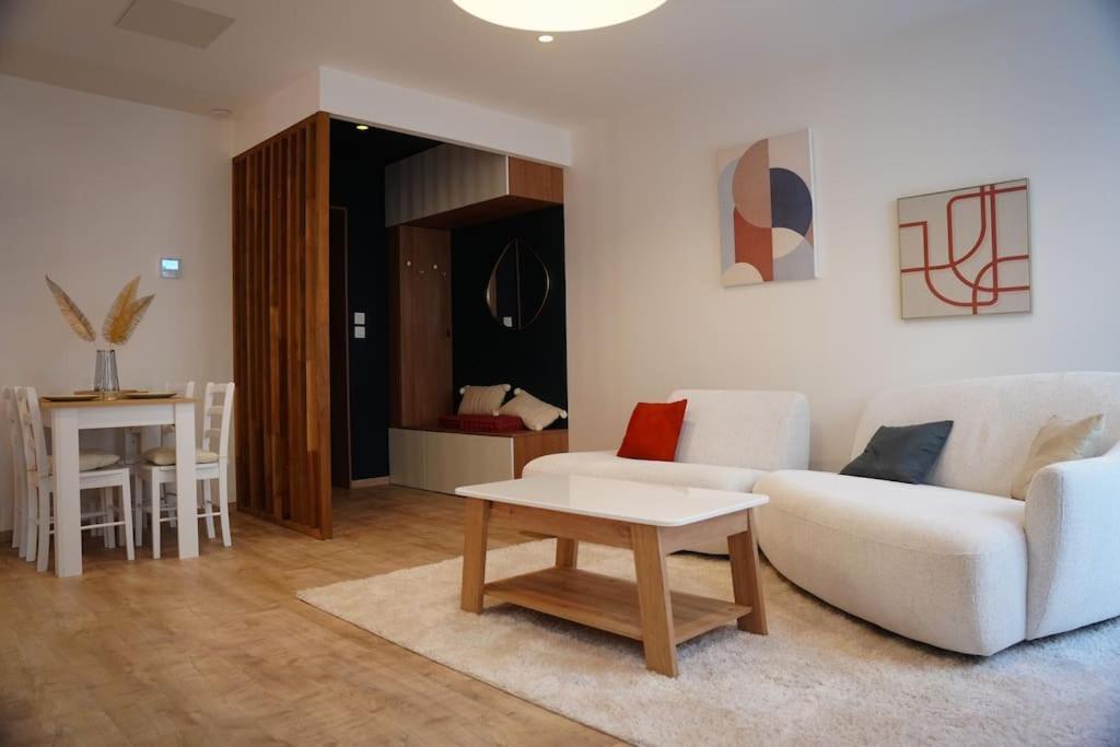Bel Appartement Centre-Ville Saint-Etienne  Exterior photo